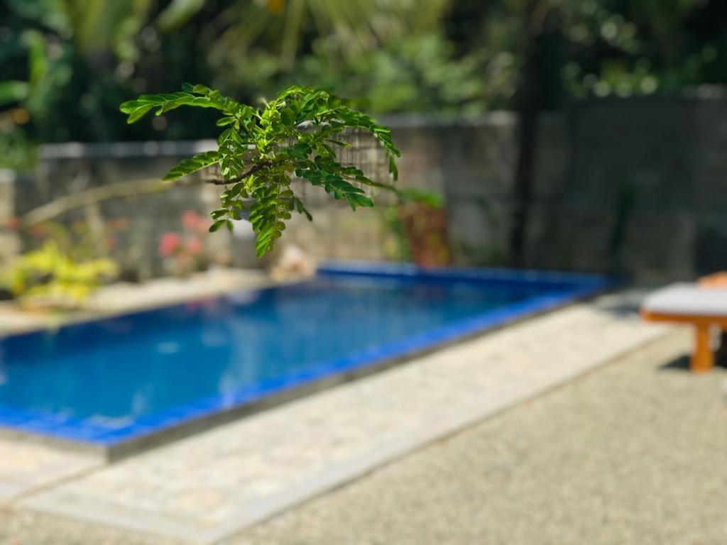 Peaceful Green Villa أونا واتونا المظهر الخارجي الصورة