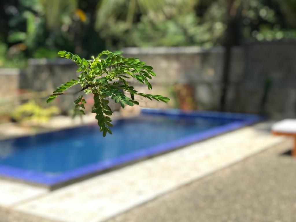 Peaceful Green Villa أونا واتونا المظهر الخارجي الصورة